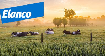 Elanco's acquisition of Bayer animal health approved